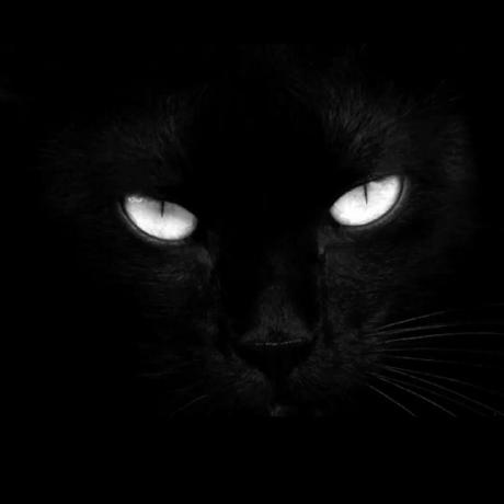 Github Gaiax Metis - Colorful Illustration Collection - Desktop Quality