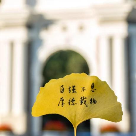 Sdd330 Yang Leijun Github - Premium Abstract Photo Gallery - Mobile