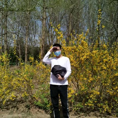 Kaki Peanut Github - Artistic 4K City Designs | Free Download