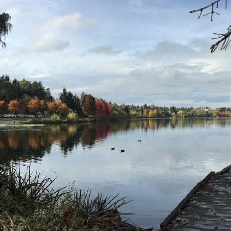 N Michaels Github - Best Nature Textures in 4K