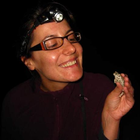 Catiamatosresearch Catia Matos Github - Minimal Background Collection - Full HD Quality