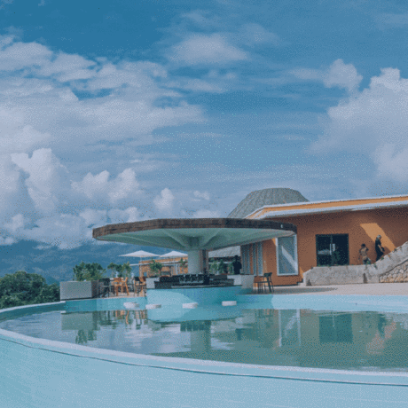 Releases Thepeacockproject Peacock Github - City Wallpaper Collection - Full HD Quality