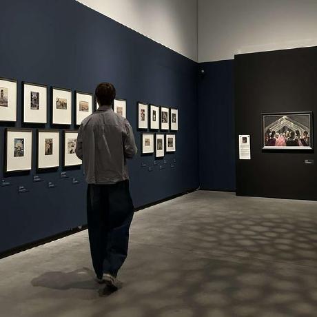 Github Jkarmands Armands New - Ocean Image Collection - 8K Quality