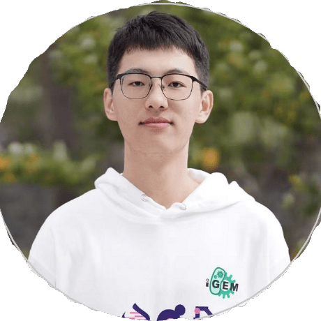 Lazyjade917 Ziyu Li Github