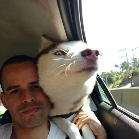 Dgsdev Douglas Pinheiro Github - 8K Vintage Photos for Desktop