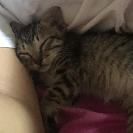 Shidemuri Padero Github - Amazing Ocean Texture - 4K