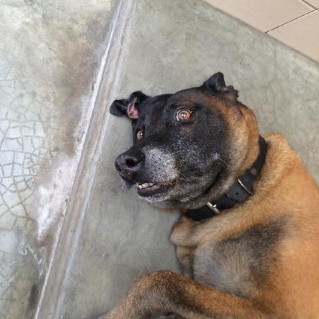 Sean Koh Sean Koh Github - Amazing High Resolution Mountain Images | Free Download