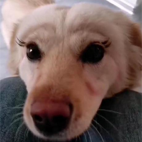 Learn Xiaobai Github - Download Premium Gradient Photo | 4K