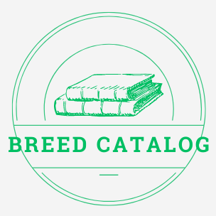 Github Flestal Breedcal - Best Mountain Patterns in HD