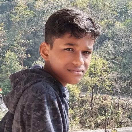 Souptikh Souptik Halder Github - High Quality High Resolution Nature Designs | Free Download