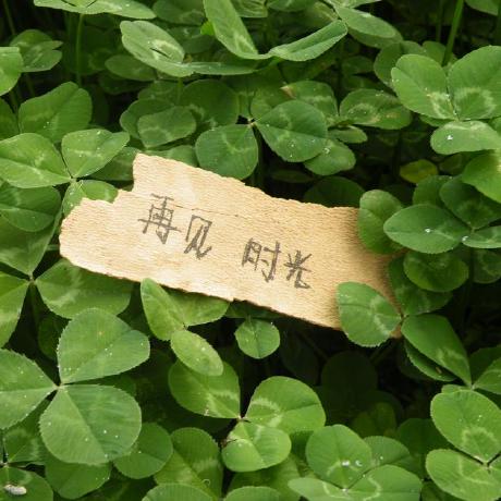 Aaronxujiachen Xujiachen Aaron Github - Nature Illustrations - Perfect Retina Collection