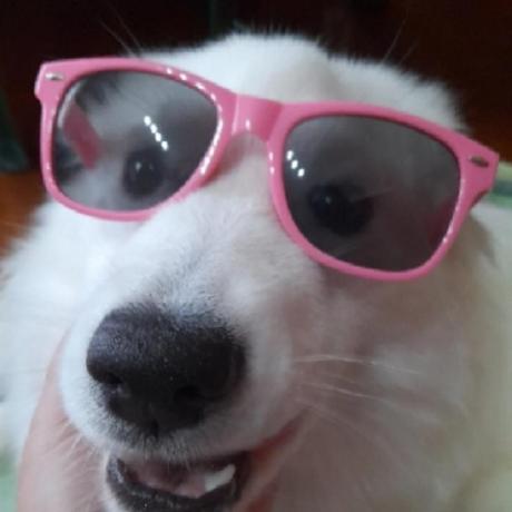 Github Ivo Toby Mcp Openapi Server Mcp Server Model Context