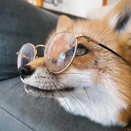 Github Sundoge Conceptual Captions Downloader - Download Modern Light Wallpaper | 4K