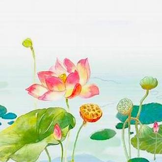 W Takano Github - Colorful Patterns - Modern Full HD Collection