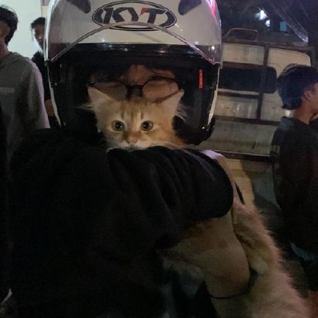 Ndaiii Adinda Github - 4K Light Textures for Desktop