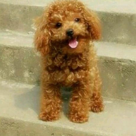 Hust Red Github - Mobile Abstract Textures for Desktop