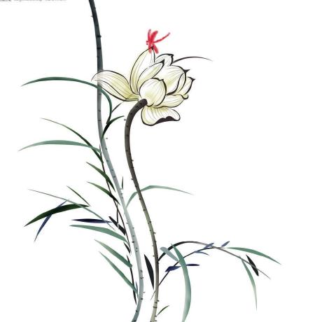 Leezhihui Lizhihui Github - Best Sunset Pictures in Ultra HD