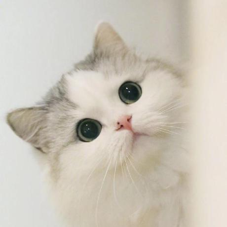 Github Echox1 Windows Baseline Windows Powershell - City Art Collection - Full HD Quality