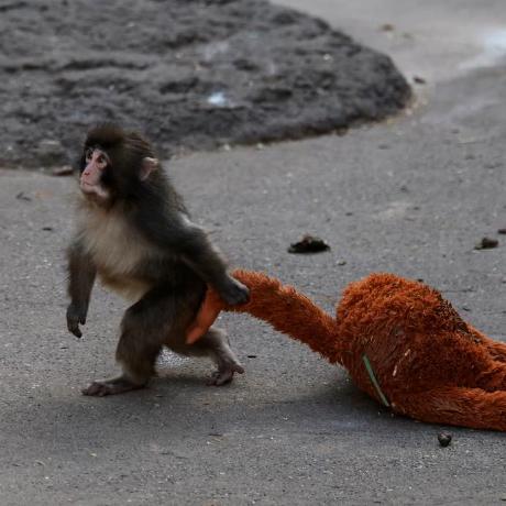 Ezrastone Ezra Stone Github