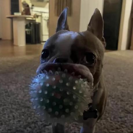 Ezra Raine Github - Retina Abstract Textures for Desktop