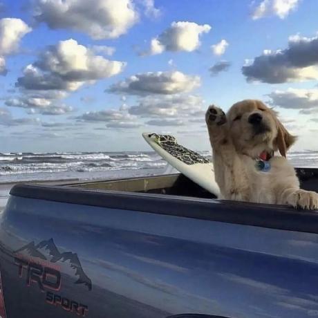 Melancholicdays Ynn Github - Premium Colorful Texture Gallery - Desktop