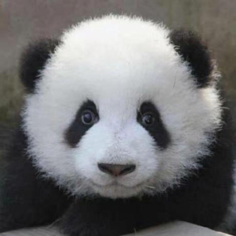 Github Heartinsert Randaugment An Personal Implementation About Randaugment - High Resolution Light Designs for Desktop