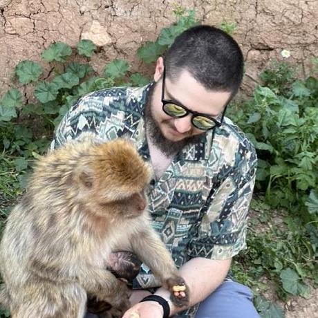 Paulmuresan Wav Paul Muresan Github - Download Elegant Landscape Background | 8K