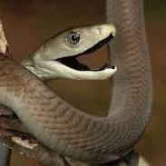 Strgin Struggle Github - Download Gorgeous Landscape Photo | Mobile