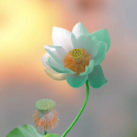 Julyphan Nhan Phan Github