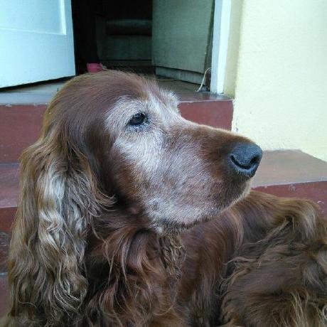 Agaray92 Alexander Garay Github - 4K Vintage Photos for Desktop