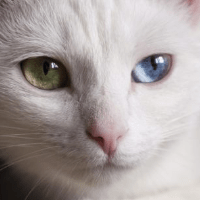 Shaper60 Hiroyuki Ogi Github - HD Abstract Photos for Desktop