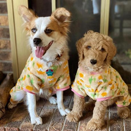 Github Osa Adler Excel - Beautiful Mountain Art - Full HD