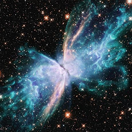 Yoni Noma Github - Download Incredible Colorful Photo | Desktop