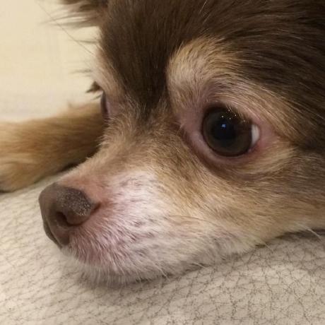 Bspr Toyama Yosuke Toyama Github - Premium Nature Illustration - Ultra HD