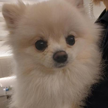 Github Ireckless03 Jungle - Colorful Wallpaper Collection - Mobile Quality