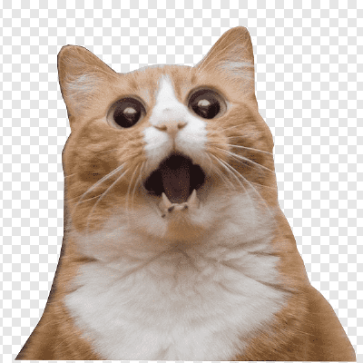 Kolthoff Paula Github - Dark Designs - Modern 8K Collection