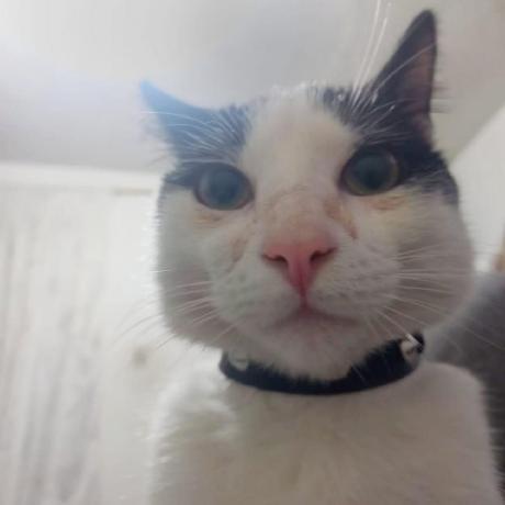 Bernardonuneztech Bernardo Nunez Github - Gorgeous Ocean Photo - High Resolution