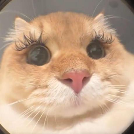 Athaya Raya Madani Github - Desktop Abstract Backgrounds for Desktop