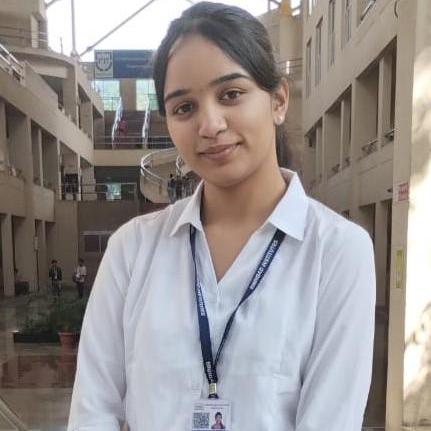 Github Aydar Nikita Test Vet - Premium Minimal Image Gallery - Desktop