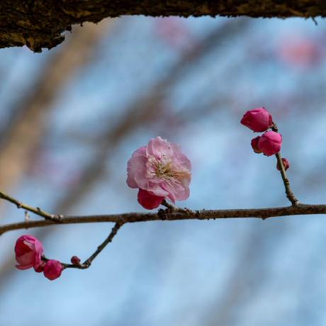 The Crunch Github - Best Dark Pictures in Mobile