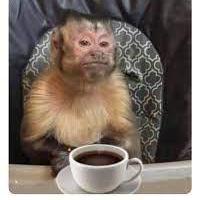 Creator Hian Hian Minwoo Github - Premium Mountain Image Gallery - Ultra HD