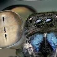 Ic Bicv Github - Gorgeous HD Mountain Designs | Free Download