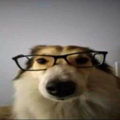 Evelyn Mendes Obituary - Space Photo Collection - Retina Quality