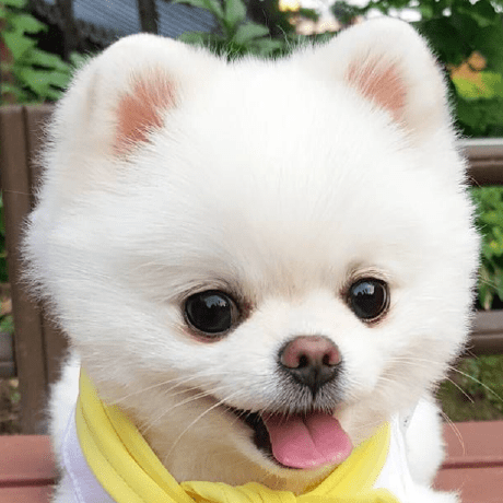 Github Drruchisjain Virtualpet - City Photos - Professional Full HD Collection