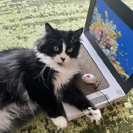 Amira Leah Github - Stunning Mountain Photo - Retina