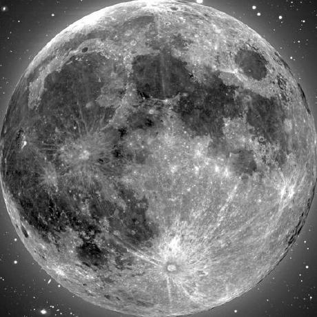 Dobrinvasile Dobrin Vasile Github - High Resolution Nature Illustrations for Desktop