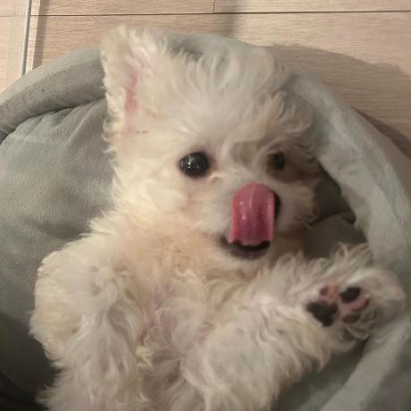 Github Hanghae Plus Front 4th Chapter2 1 4 2 1 - Nature Designs - Modern Mobile Collection