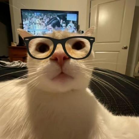 Github Hexinking Hxoj Code Sandbox Master Hx Oj - 8K Mountain Patterns for Desktop