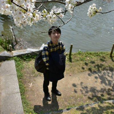 A Yamamura Github - Best Gradient Illustrations in High Resolution