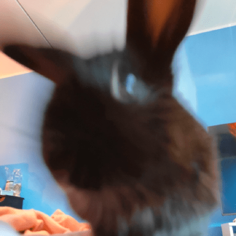 Starstruckvenus Star Github - Amazing Mobile Ocean Backgrounds | Free Download